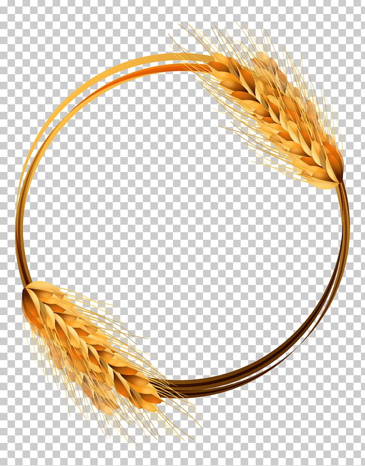 Common Wheat Ear Crop PNG, Clipart, Agriculture, Bread, Cereal, Circle, Commodity Free PNG Download