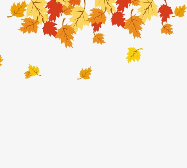 Maple Leaf PNG, Clipart, Autumn, Background, Defoliation, Golden, Leaf Free PNG Download