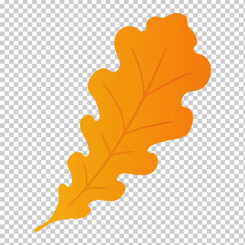 Maple Leaf PNG, Clipart, Black Maple, Leaf, Maple Leaf, Oak, Orange Free PNG Download
