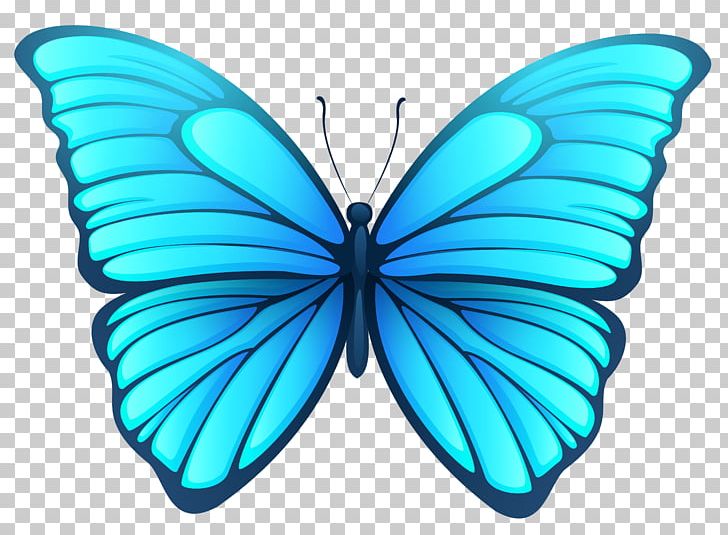 Butterfly PNG, Clipart, Azure, Brush Footed Butterfly, Butte, Butterflies, Butterflies And Moths Free PNG Download