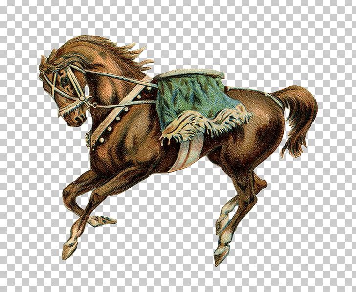 Horse Stallion Carousel Circus PNG, Clipart, Animals, Bridle, Carousel, Circus, Equestrian Free PNG Download