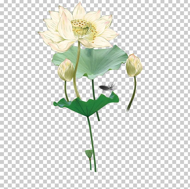 Ink Wash Painting Chinese Painting Nelumbo Nucifera Gongbi PNG, Clipart, Artificial Flower, Blue, Business Card, Flower, Flower Arranging Free PNG Download