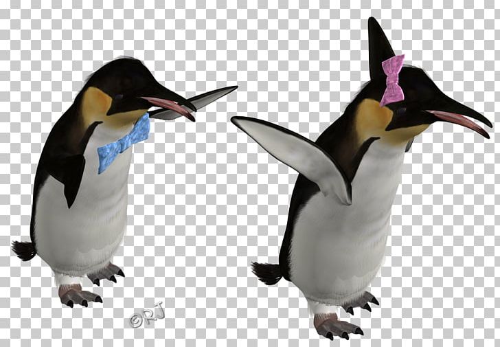 King Penguin Beak PNG, Clipart, Beak, Bird, Bits And Pieces, Fauna, Flightless Bird Free PNG Download