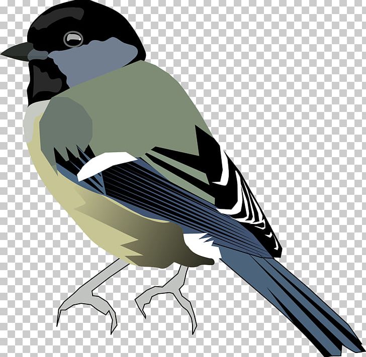 Black-capped Chickadee Bird Owl PNG, Clipart, Animals, Beak, Bird, Blackcapped Chickadee, Chickadee Free PNG Download