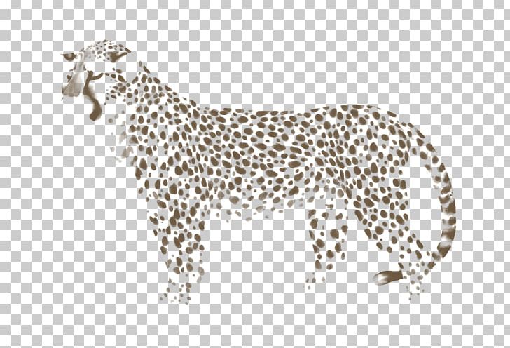 Cheetah Leopard Felidae Jaguar Cat PNG, Clipart, Animal, Animal Figure, Animals, Big Cat, Big Cats Free PNG Download