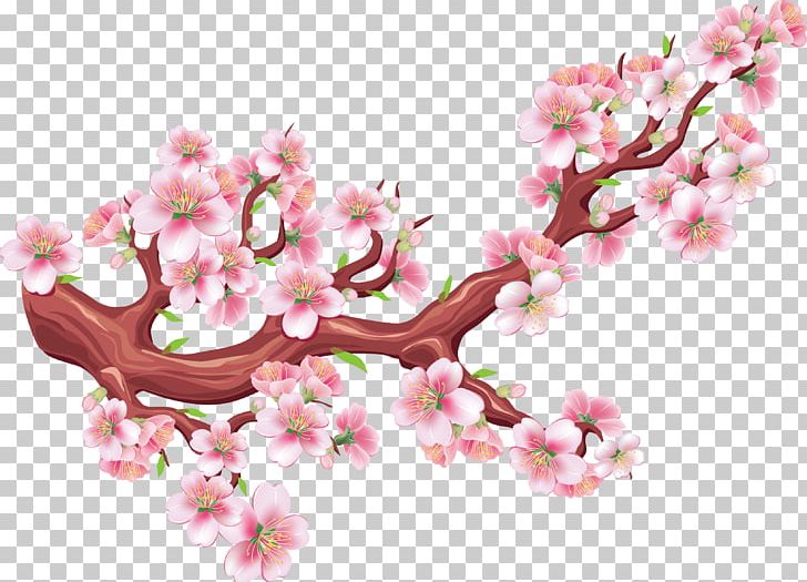 Cherry Blossom Drawing Illustration PNG, Clipart, Branch, Encapsulated Postscript, Flower, Flowering Plant, Han Free PNG Download