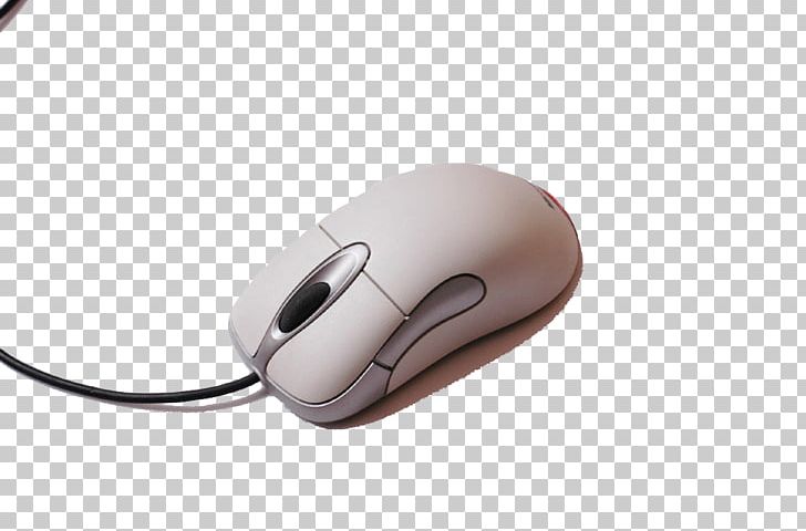 Computer Mouse Microsoft Mouse White PNG, Clipart, Animals, Background White, Barbed Wire, Black White, Computer Free PNG Download