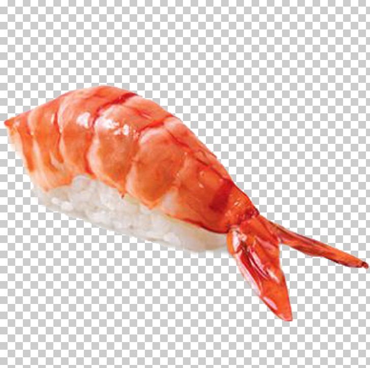 Sushi Caridean Shrimp Japanese Cuisine Tempura Makizushi PNG, Clipart, Animal Source Foods, Caramote Prawn, Caridean Shrimp, Comfort Food, Cuisine Free PNG Download