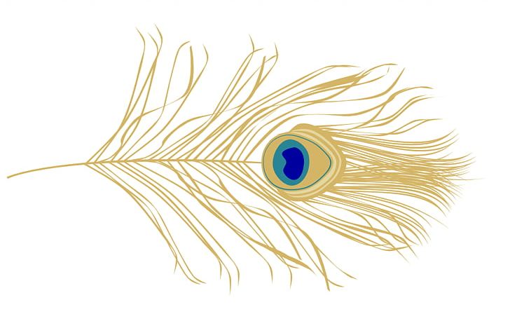 Bird Feather Peafowl PNG, Clipart, Animal, Animals, Bird, Circle, Closeup Free PNG Download