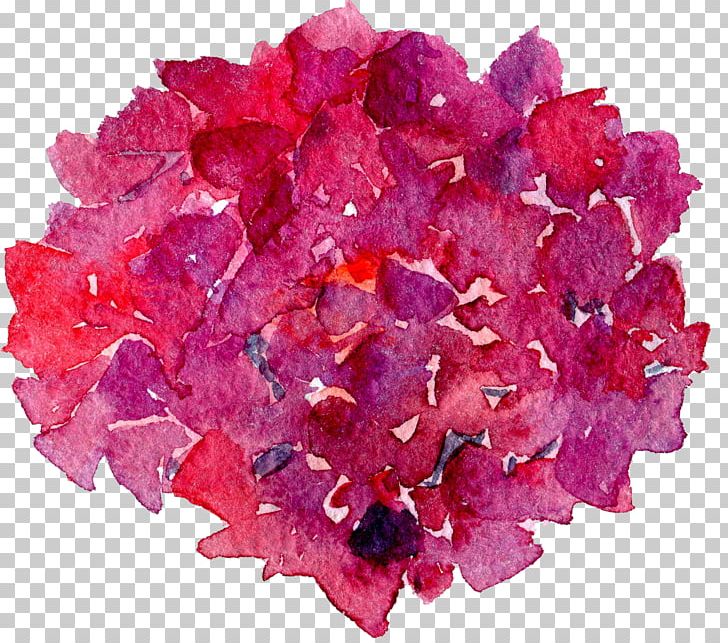 French Hydrangea Flower PNG, Clipart, Cut Flowers, Drawing, Drawing Plant, Floral, Floral Free PNG Download