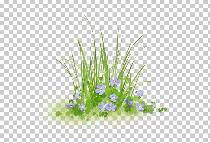 Sticker Flower Art PNG, Clipart, Aquarium Decor, Aquatic Plant, Architecture, Art, Computer Wallpaper Free PNG Download