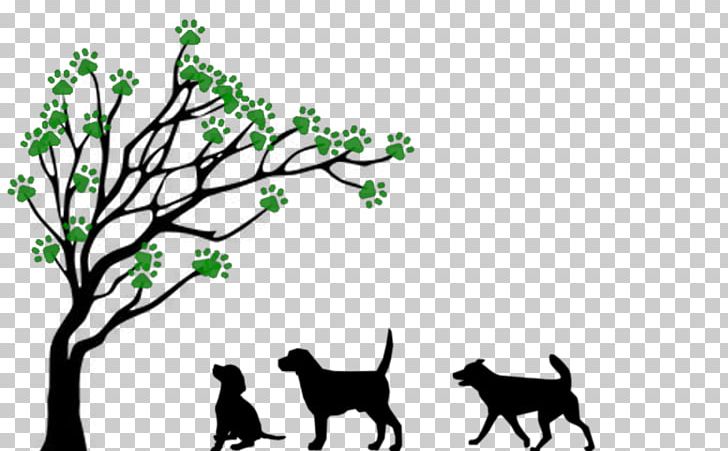 Tree Drawing Branch PNG, Clipart, 4 Paws Inn, Area, Art, Black And White, Branch Free PNG Download