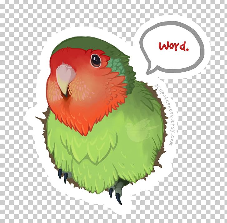 Macaw Parrot Parakeet Bird T-shirt PNG, Clipart, Animals, Art, Bag, Beak, Bird Free PNG Download