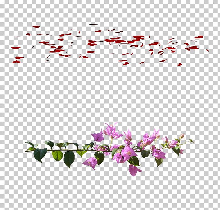 Petal Flower Red PNG, Clipart, Blossom, Branch, Download, Flora, Floral Design Free PNG Download