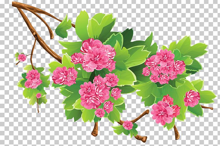 Spring PNG, Clipart, Blossom, Branch, Clipart, Clip Art, Cut Flowers Free PNG Download