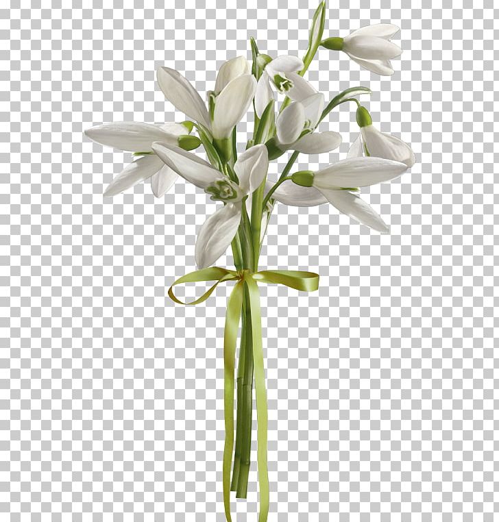 Snowdrop Floral Design Cut Flowers Flowerpot PNG, Clipart, Cut Flowers, Dort, En Iyi, Floral Design, Floristry Free PNG Download