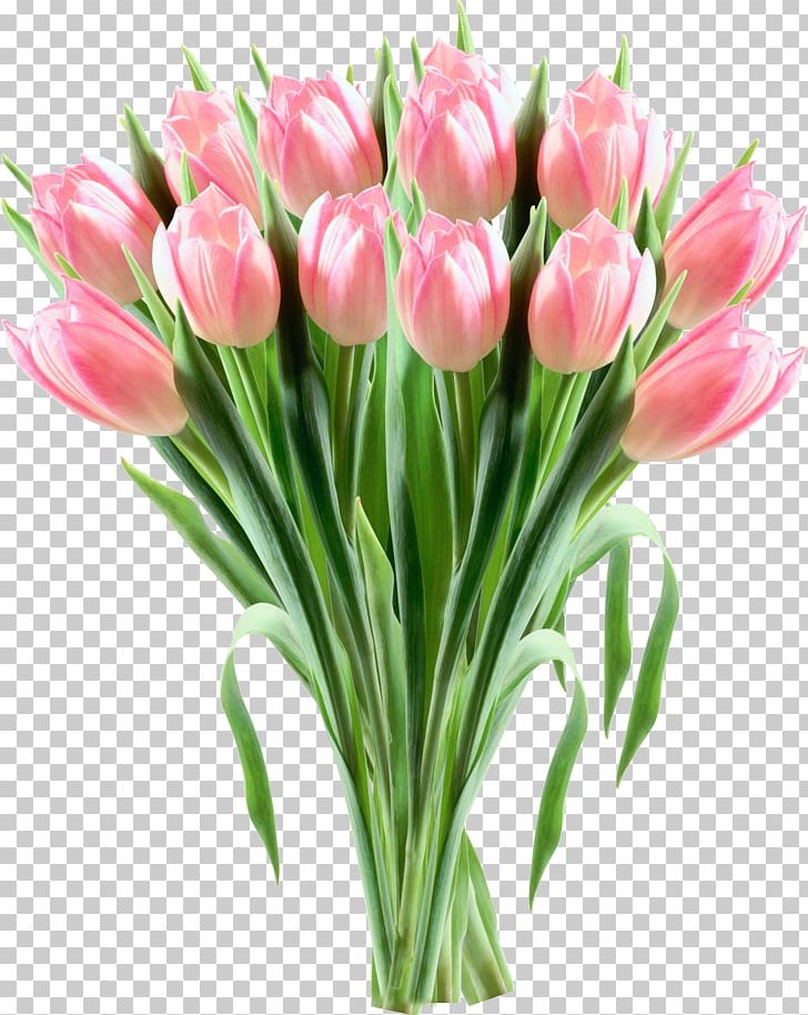 Tulip Pink Flowers PNG, Clipart, Color, Cut Flowers, Daffodil, Desktop Wallpaper, Floral Design Free PNG Download