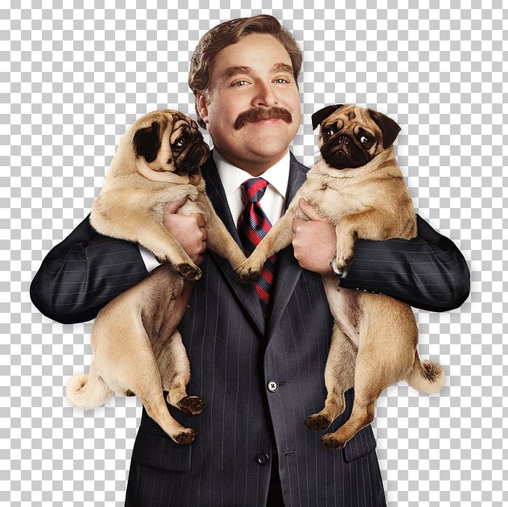 Zach Galifianakis The Campaign Marty Huggins Cam Brady YouTube PNG, Clipart, Aggression, Cam Brady, Cam Newton, Campaign, Carnivoran Free PNG Download