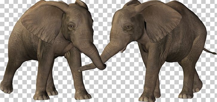 National Elephant Day PNG, Clipart, African Elephant, Animal, Animals, Bisou, Child Free PNG Download
