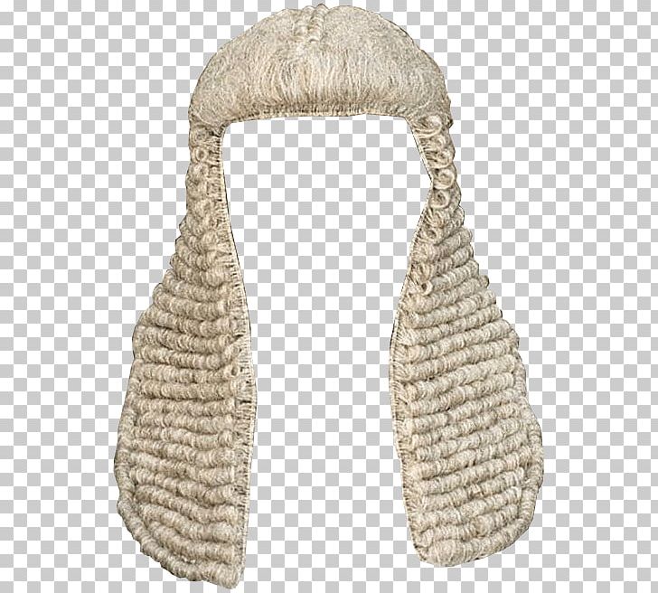 Court Dress Judge Wig Lawyer Barrister PNG, Clipart, Barrister, Court, Court Dress, Greg Mathis, Hair Free PNG Download