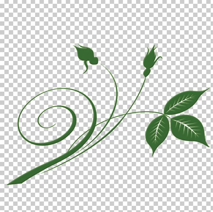 Leaf Green PNG, Clipart, Branch, Creative, Download, Emerald, Flora Free PNG Download