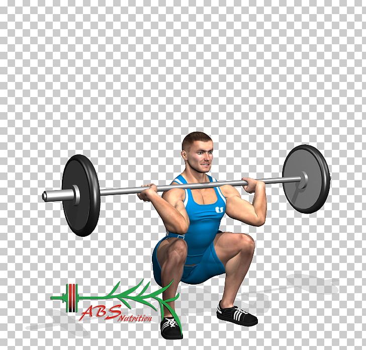 Quadriceps Femoris Muscle Barbell Weight Training Exercise Squat PNG, Clipart,  Free PNG Download