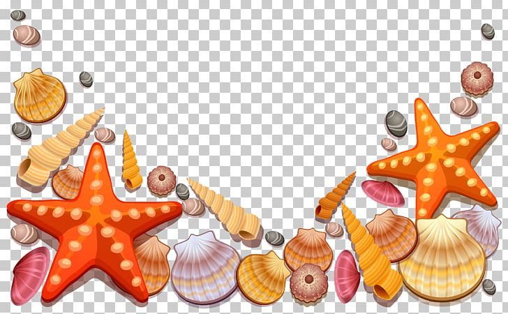 Seashell Starfish Beach PNG, Clipart, Animals, Beach, Clip Art, Encapsulated Postscript, Food Free PNG Download
