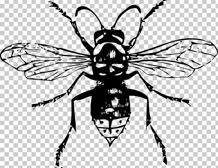 Bald-faced Hornet Bee PNG, Clipart, Arthropod, Artwork, Bee Sting, Brush Footed Butterfly, Fictional Character Free PNG Download