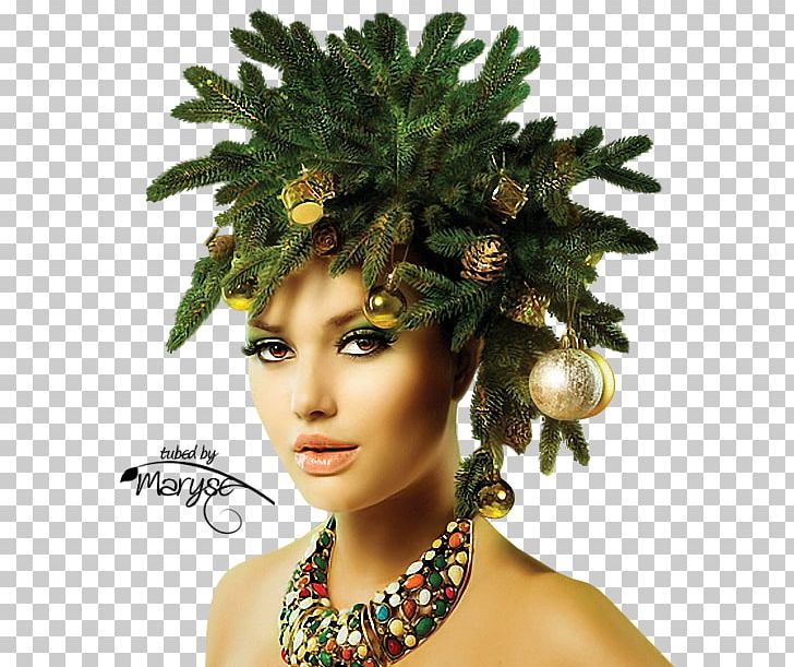 Make-up Snegurochka Hairstyle Holiday Fashion PNG, Clipart, Christmas, Christmas Tree, Coiffure, Costume, Face Free PNG Download