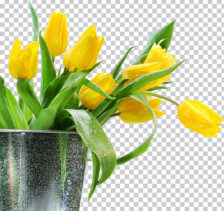 Flower Bouquet Tulip Yellow PNG, Clipart, Blume, Cut Flowers, Digital Image, Floral Design, Floristry Free PNG Download