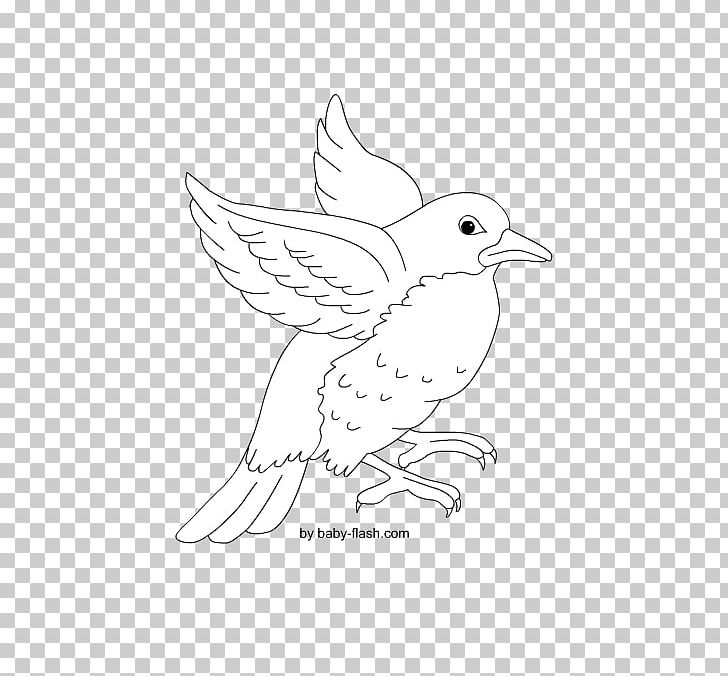 Line Art Beak Drawing /m/02csf Feather PNG, Clipart, Area, Art, Artwork, Beak, Bird Free PNG Download