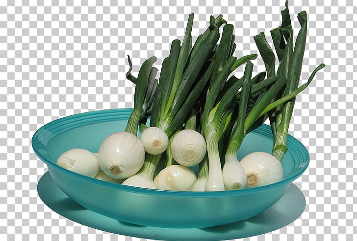 Scallion Onion Leaf Vegetable Garlic PNG, Clipart, Dish, Food, Fruit Vegetable, Garlic, Hair Loss Free PNG Download