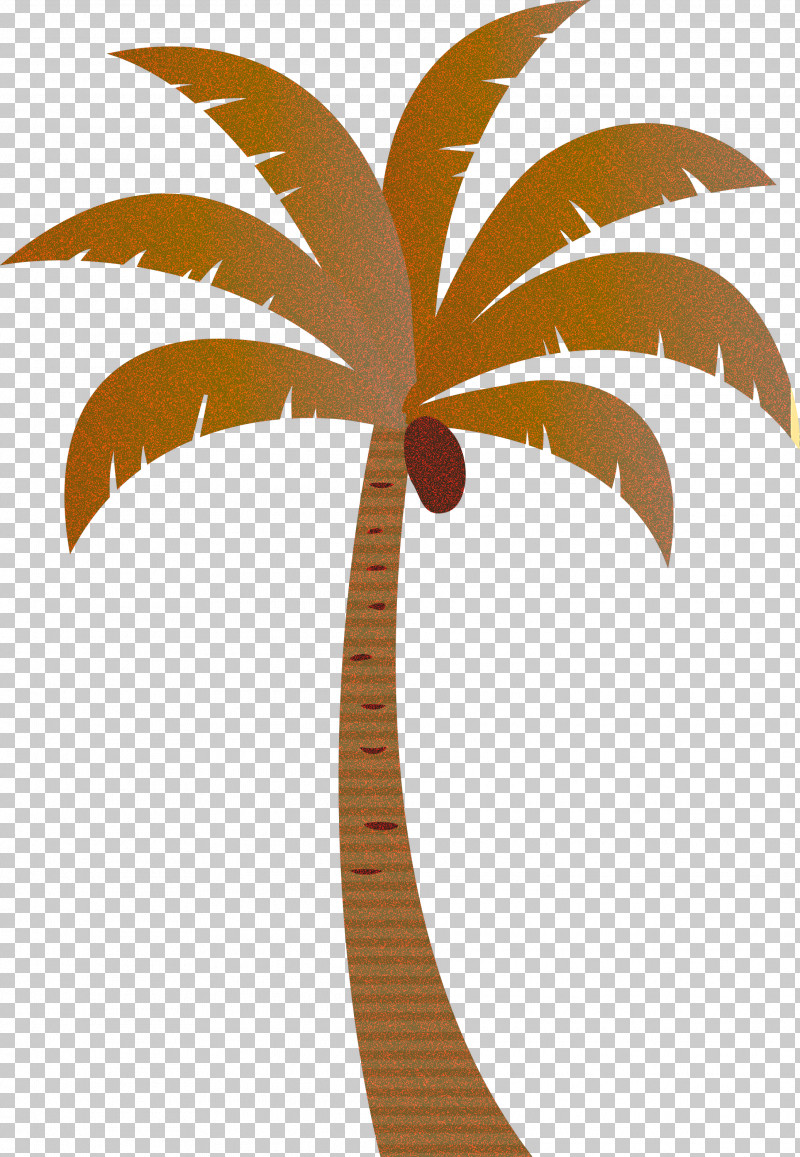 Palm Trees PNG, Clipart, Archontophoenix, Archontophoenix Cunninghamiana, Areca Palm, Beach, Cartoon Tree Free PNG Download