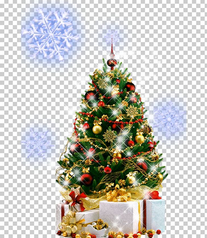 Christmas Tree New Year Tree Christmas Ornament PNG, Clipart, Christmas, Christmas Decoration, Christmas Frame, Christmas Lights, Decor Free PNG Download