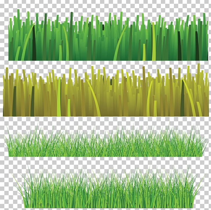Plant Stem Grass Lawn PNG, Clipart, Art, Chrysopogon Zizanioides, Commodity, Download, Drawing Free PNG Download