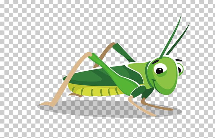 Grasshopper Cartoon PNG, Clipart, Amphibian, Animation, Brand, Cricket, Cricket Free PNG Download