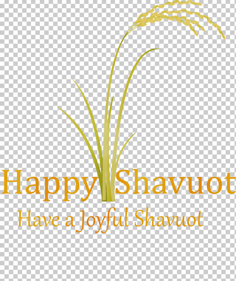 Text Plant Grass Family Logo Grass PNG, Clipart, Flower, Grass, Grass Family, Happy Shavuot, Leaf Free PNG Download
