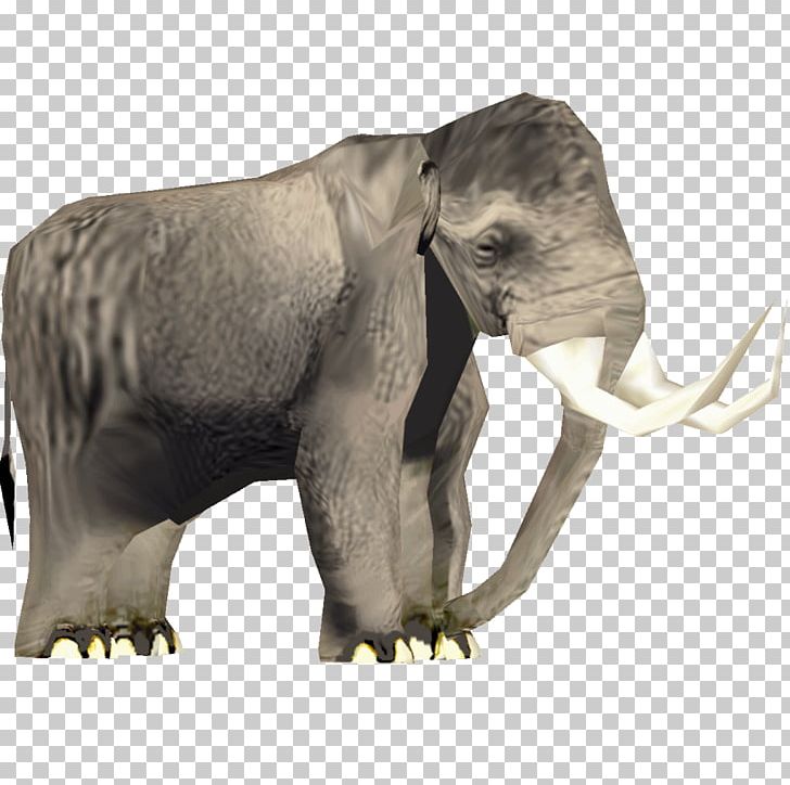 African Elephant Asian Elephant Mammuthus Meridionalis Steppe Mammoth PNG, Clipart, African Elephant, Animal, Animals, Apatosaurus, Asian Elephant Free PNG Download