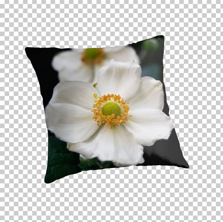 Throw Pillows Cushion PNG, Clipart, Cushion, Flower, Flowering Plant, Furniture, Petal Free PNG Download