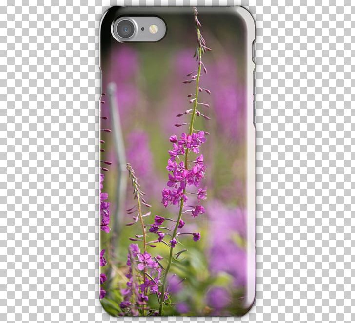 Wildflower PNG, Clipart, Fireweed, Flora, Flower, Lavender, Lilac Free PNG Download