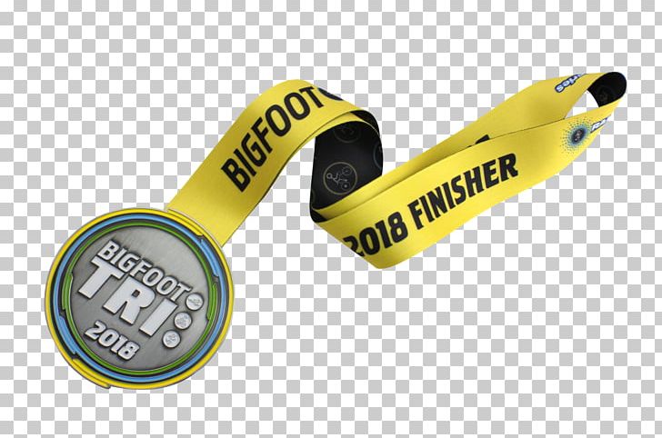 Medal Triathlon Racing Learning PNG, Clipart, Bigfoot, Hardware, Learning, Measuring Instrument, Medal Free PNG Download