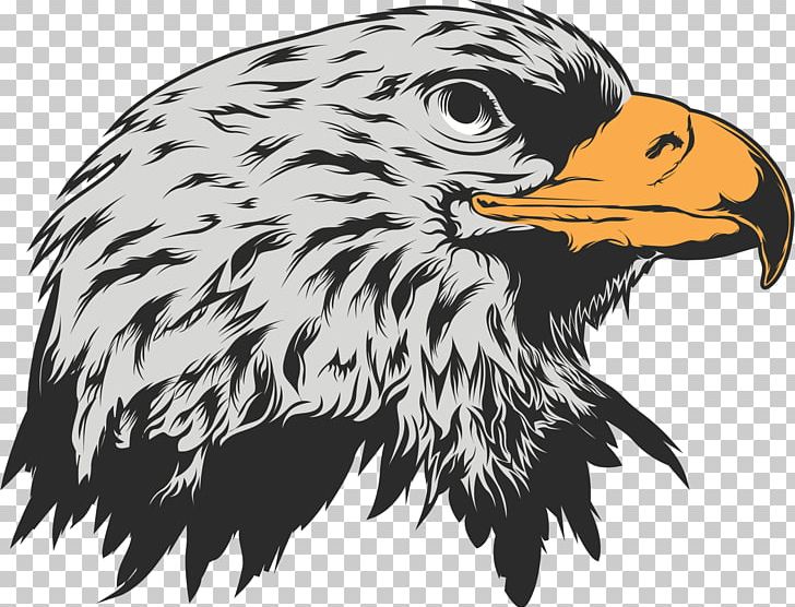 Stock Illustration PNG, Clipart, Accipitriformes, Animals, Art, Avatar, Bald Eagle Free PNG Download