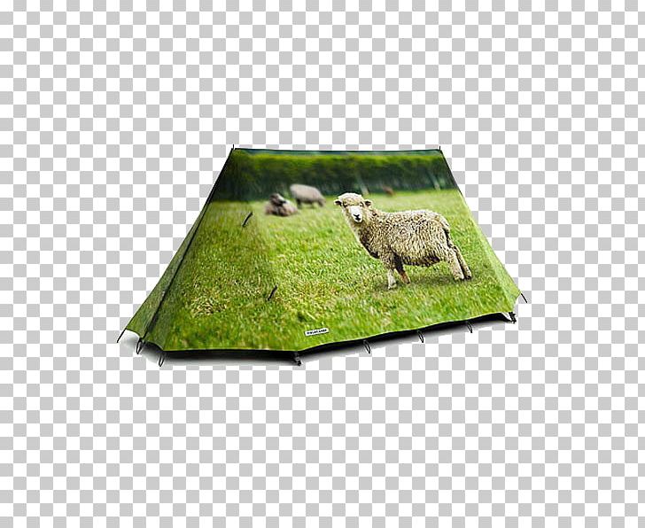 Tent Camping Campsite Glamping Hydrostatic Head PNG, Clipart, Awning, Brentwood Festival, Camping, Campsite, Canvas Free PNG Download