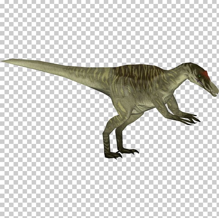 Zoo Tycoon 2 Tyrannosaurus Baryonyx Dinosaur Iguanodon PNG, Clipart, Acrocanthosaurus, Allosaurus, Animal Figure, Austroraptor, Baryonyx Free PNG Download