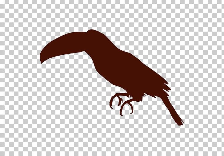 Beak Bird Silhouette Toucan PNG, Clipart, Animals, Beak, Bird, Bird Of Prey, Bird Silhouette Free PNG Download