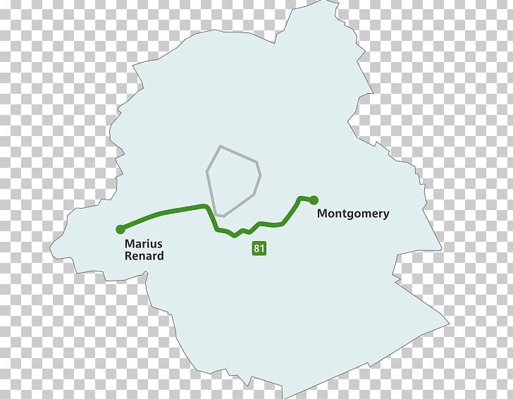 Brussels Tram Route 81