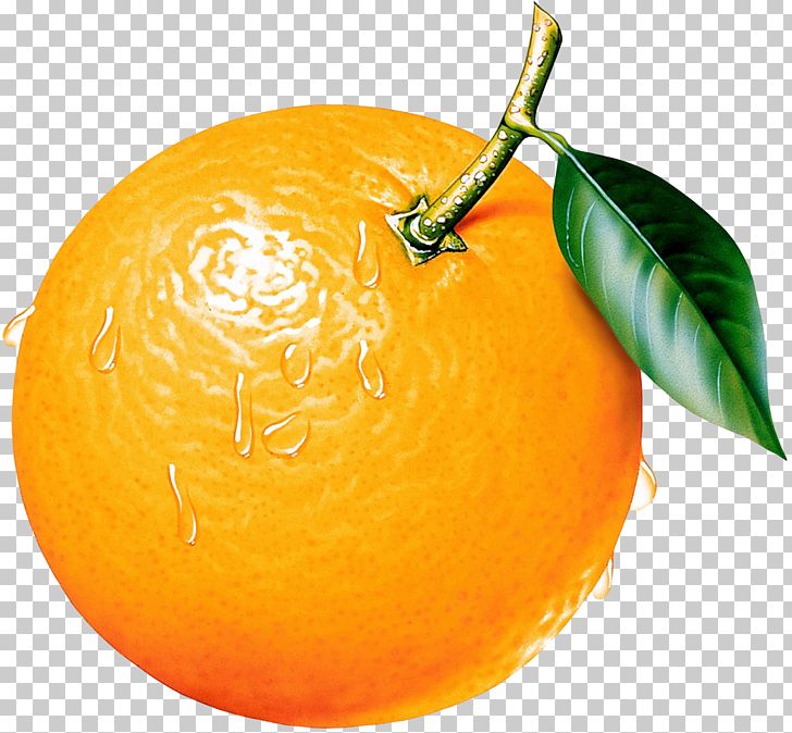 Orange PNG, Clipart, Bitter Orange, Citric Acid, Citron, Citrus, Clementine Free PNG Download