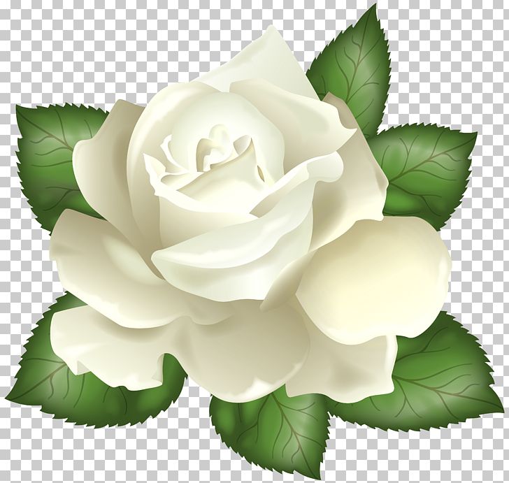 Rose White Flower PNG, Clipart, Art, Art White, Blog, Clipart, Computer Icons Free PNG Download