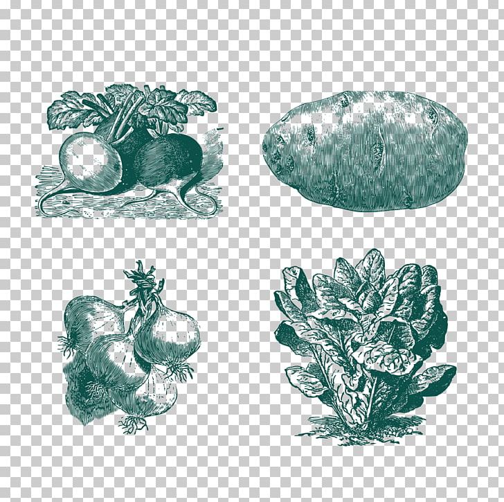 Vegetable Euclidean PNG, Clipart, Adobe Illustrator, Ai Vector, Big Picture Download, Capsicum Annuum, Encapsulated Postscript Free PNG Download