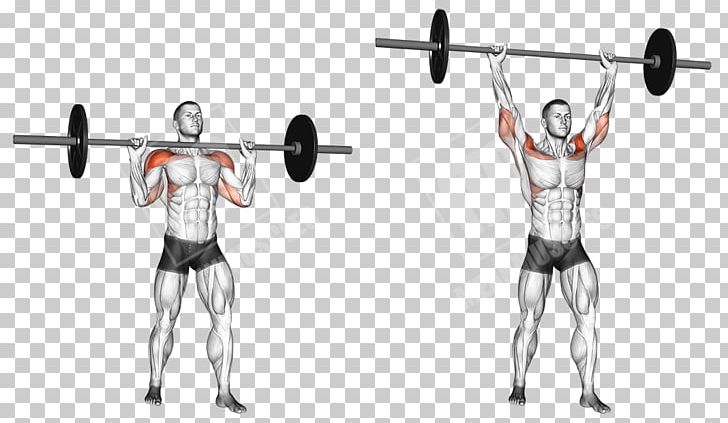 Barbell Shoulder Physical Fitness Overhead Press Gwasg Milwrol PNG, Clipart, Abdomen, Arm, Balance, Biceps, Biceps Curl Free PNG Download